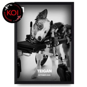 RIP Teigan Puppy Bowl XXLL Winner Passed Away Home Decor Poster Canvas